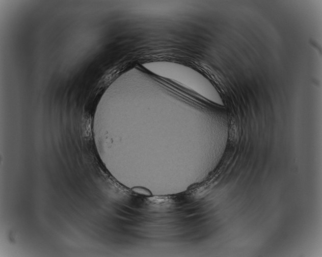 X0000094780477200712141624