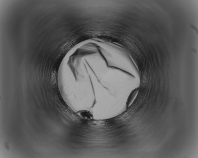 X0000094780478200712141624