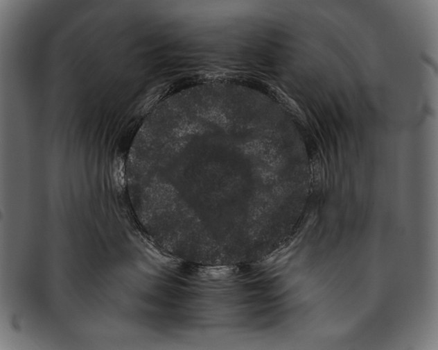 X0000094780479200712141624