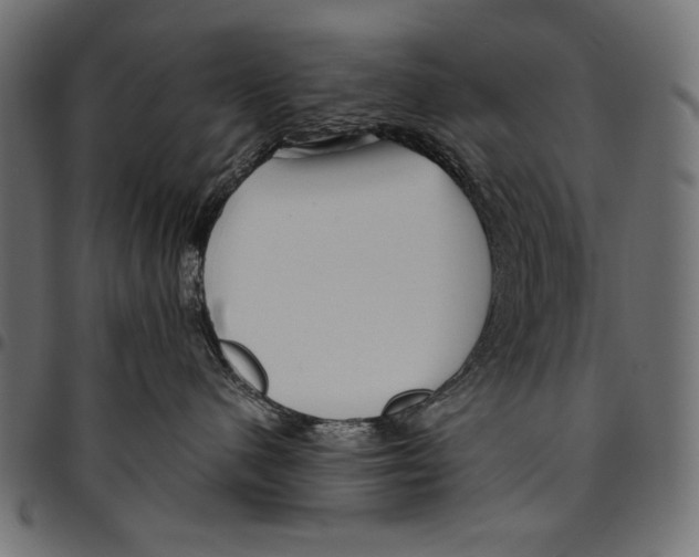 X0000094780480200712141624