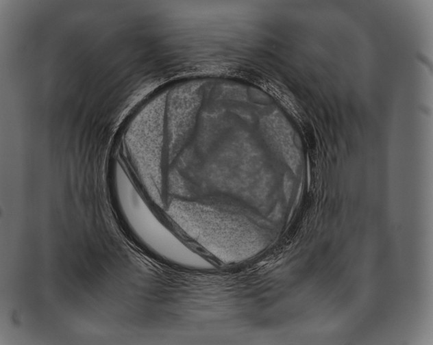 X0000094780483200712141623