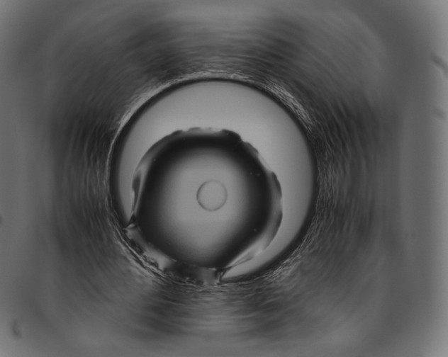 X0000094780484200712141623