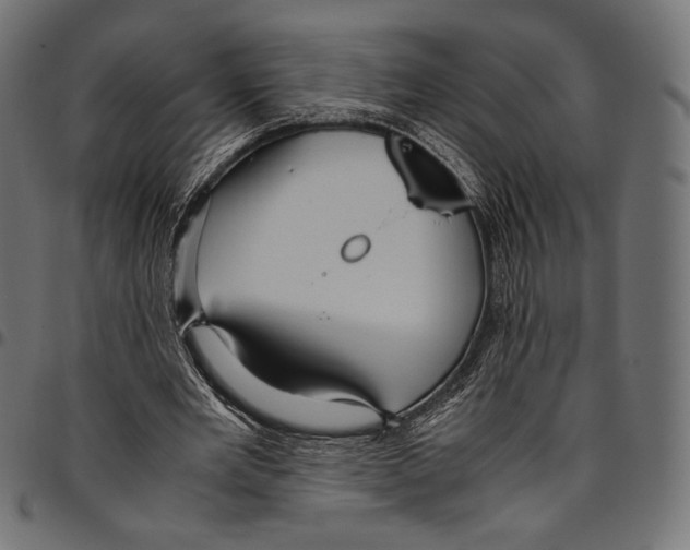 X0000094780485200712141623