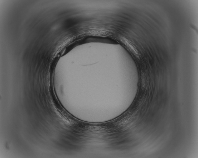 X0000094780486200712141623