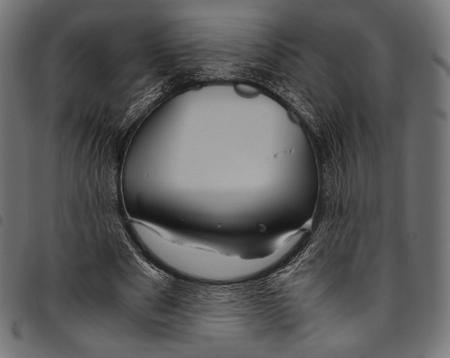 X0000094780489200712141623