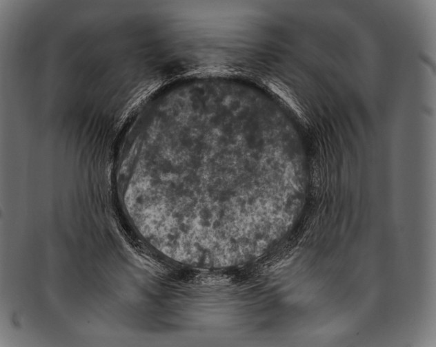 X0000094780491200712141623