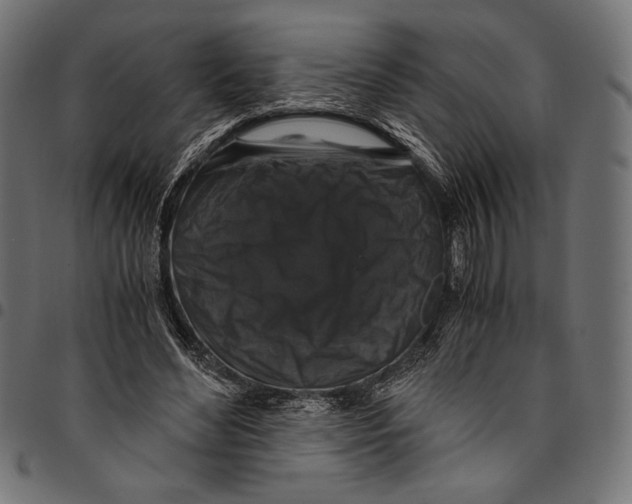 X0000094780492200712141623