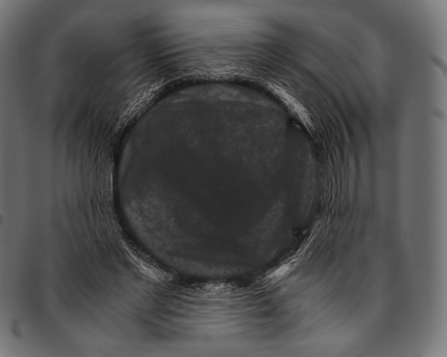 X0000094780493200712141623