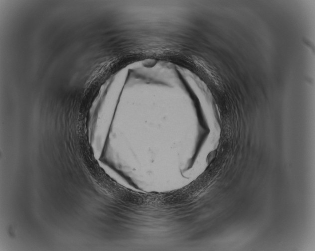 X0000094780495200712141623