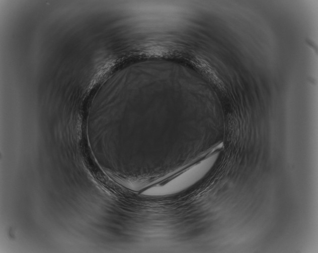 X0000094780496200712141623