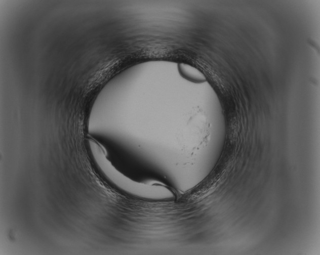 X0000094780497200712141623