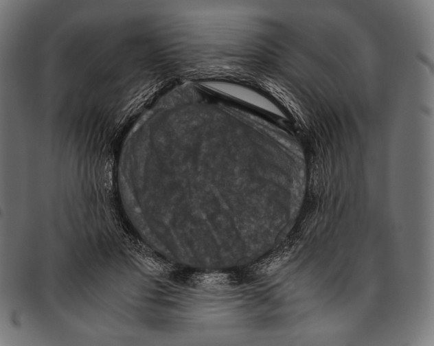 X0000094780501200712141623