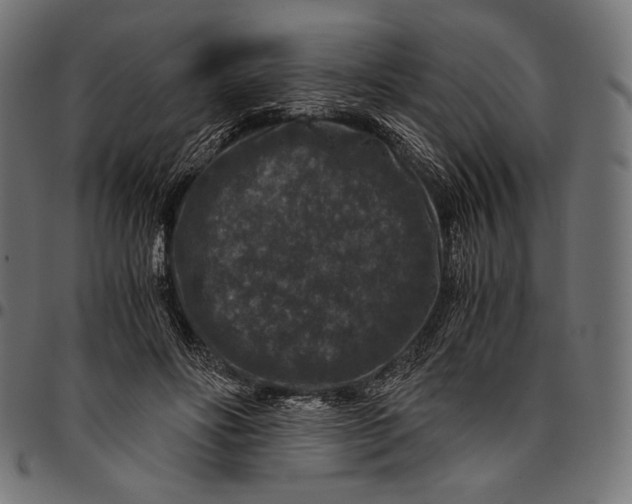 X0000094780502200712141623