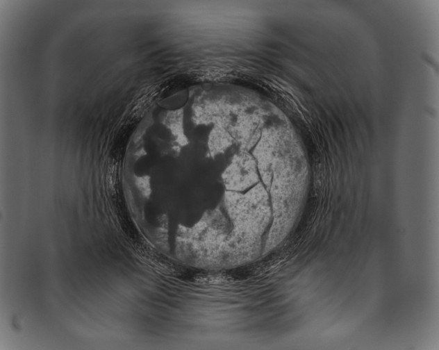 X0000094780503200712141623