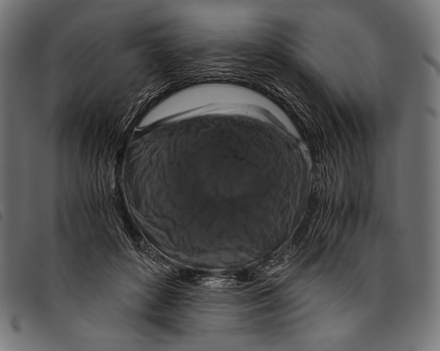 X0000094780504200712141623