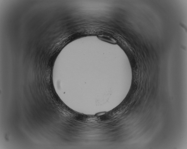 X0000094780505200712141623