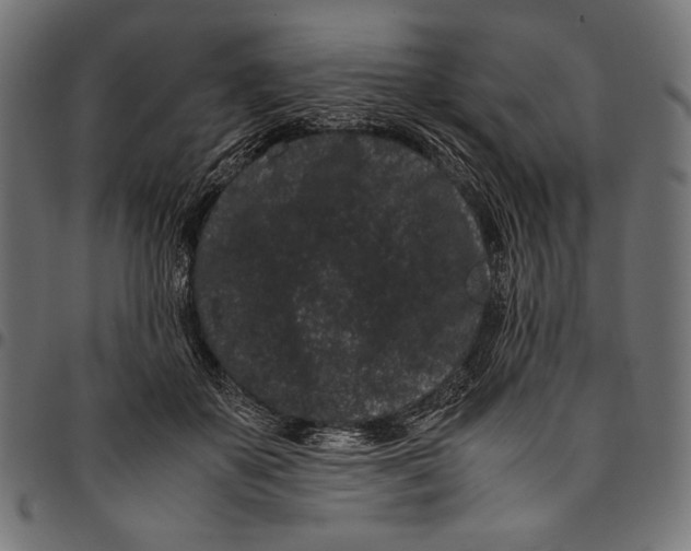 X0000094780507200712141623