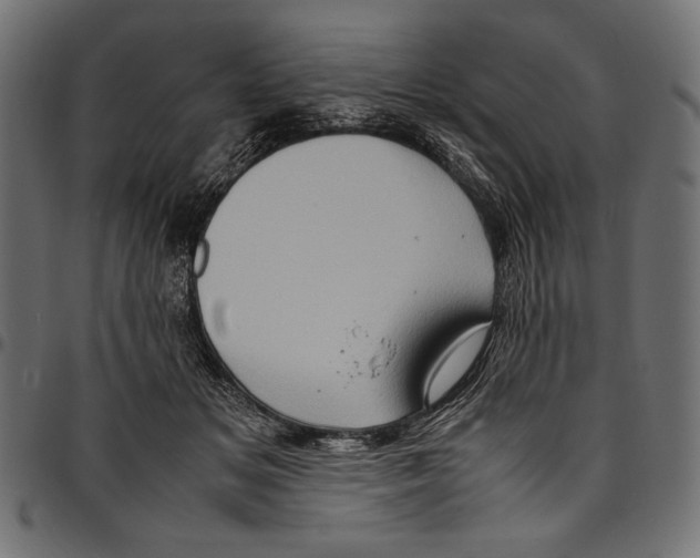 X0000094780509200712141623