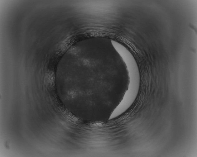 X0000094780513200712141623