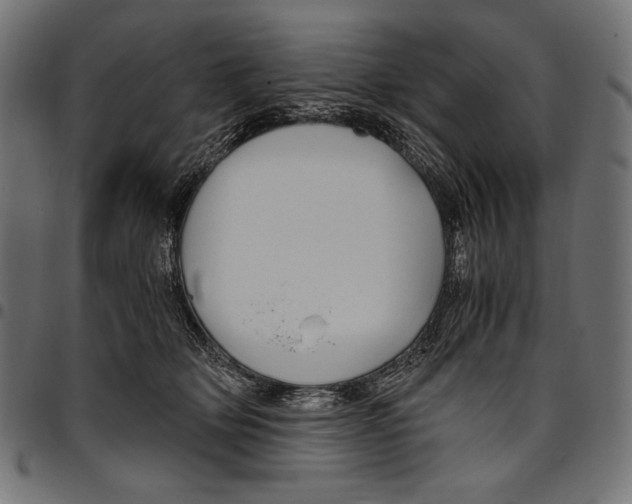 X0000094780514200712141623