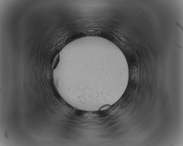 X0000094780515200712141623