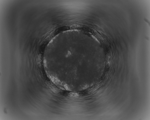 X0000094780519200712141623