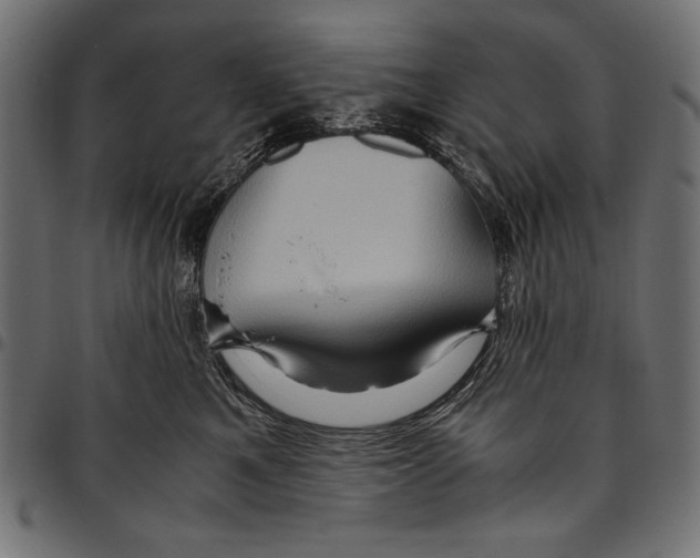 X0000094780521200712141623