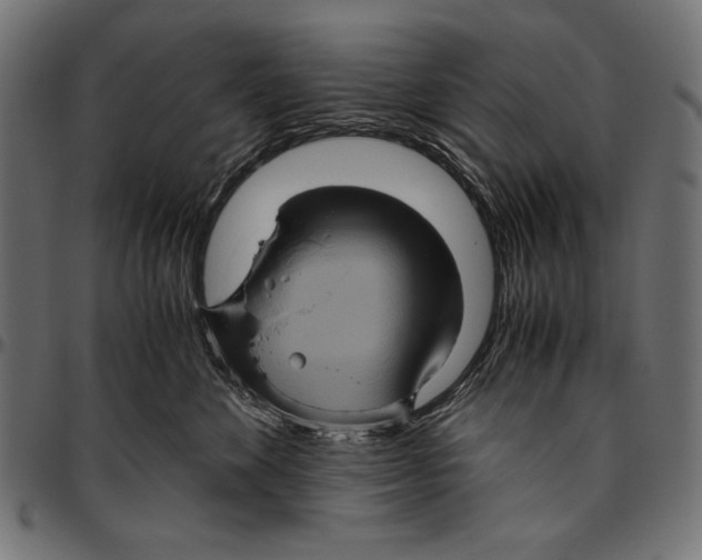 X0000094780524200712141623