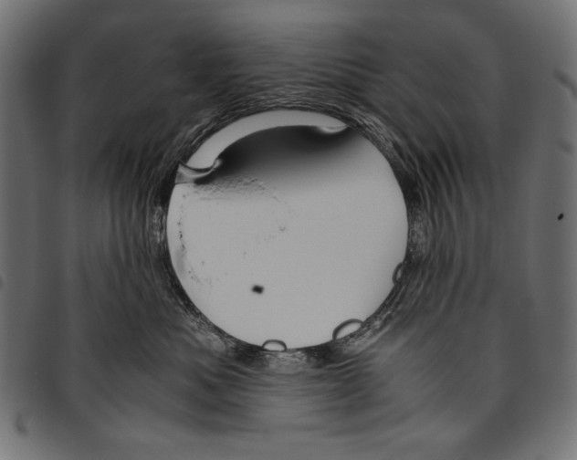 X0000094780525200712141623