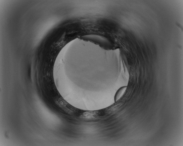 X0000094780526200712141623