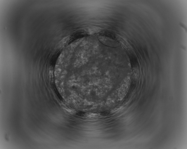 X0000094780527200712141623