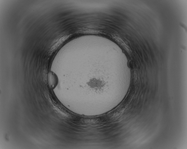 X0000094780533200712141622