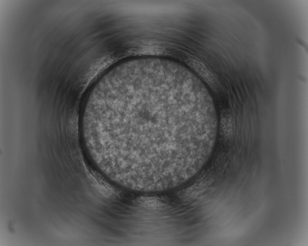 X0000094780534200712141622