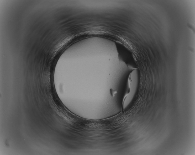 X0000094780535200712141622