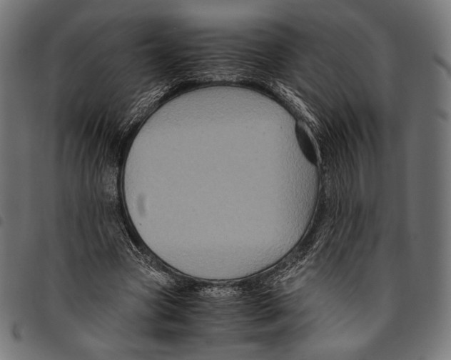 X0000094780537200712141622