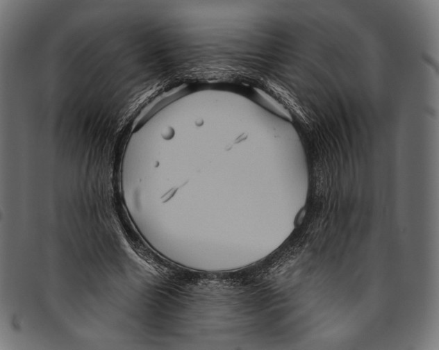 X0000094780538200712141622