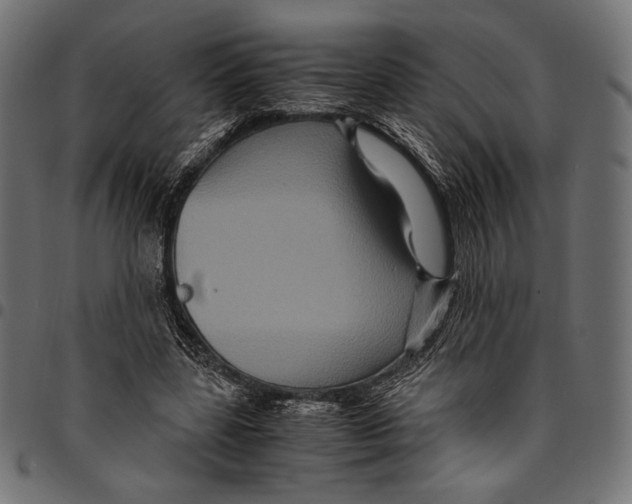 X0000094780539200712141622