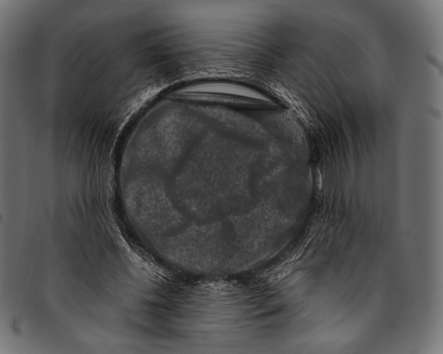 X0000094780540200712141622