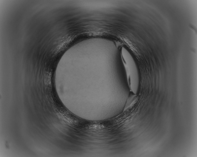 X0000094780543200712141622