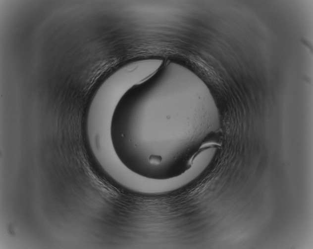 X0000094780546200712141622