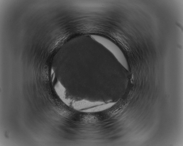 X0000094780547200712141622