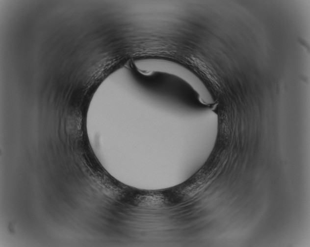 X0000094780548200712141622