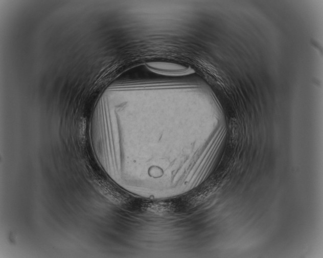 X0000094780550200712141622