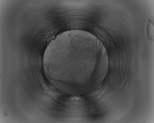 X0000094780551200712141622