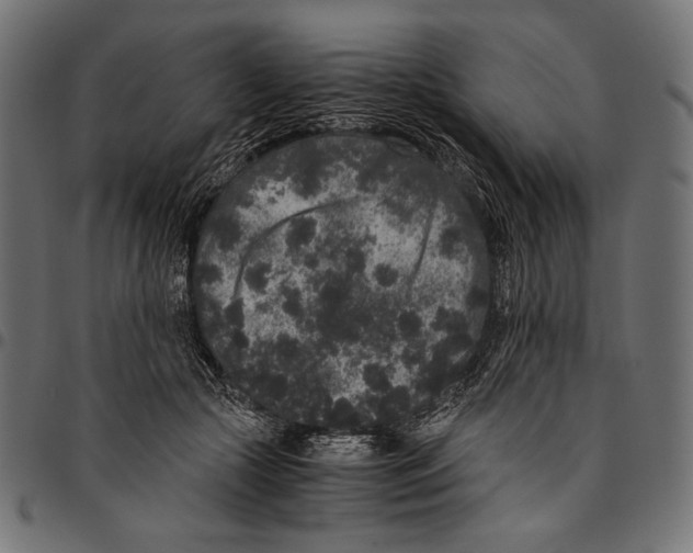 X0000094780553200712141622