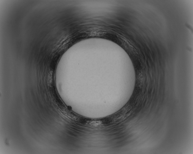 X0000094780554200712141622