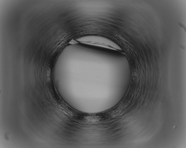 X0000094780556200712141623