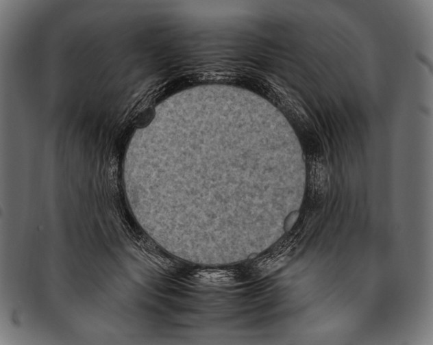 X0000094780557200712141623