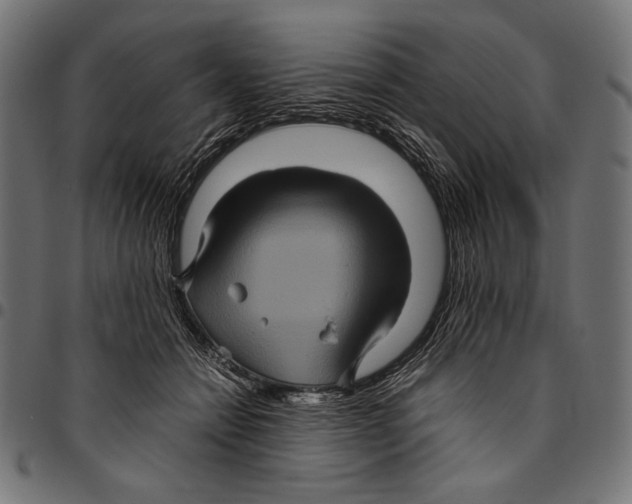 X0000094780558200712141623