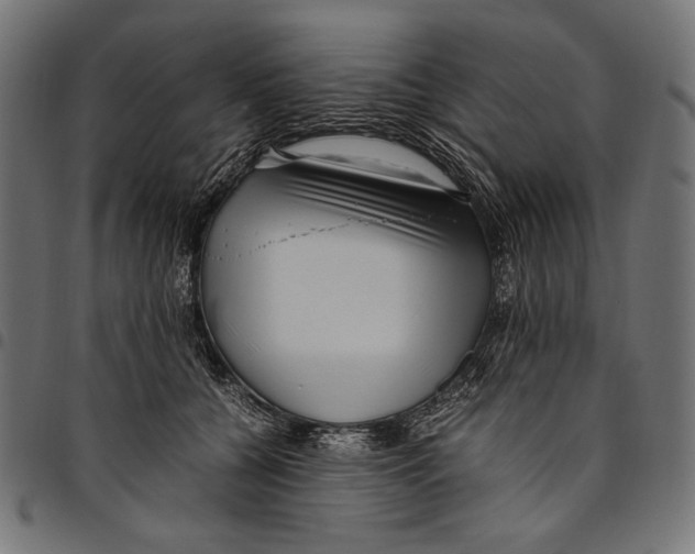 X0000094780560200712141623